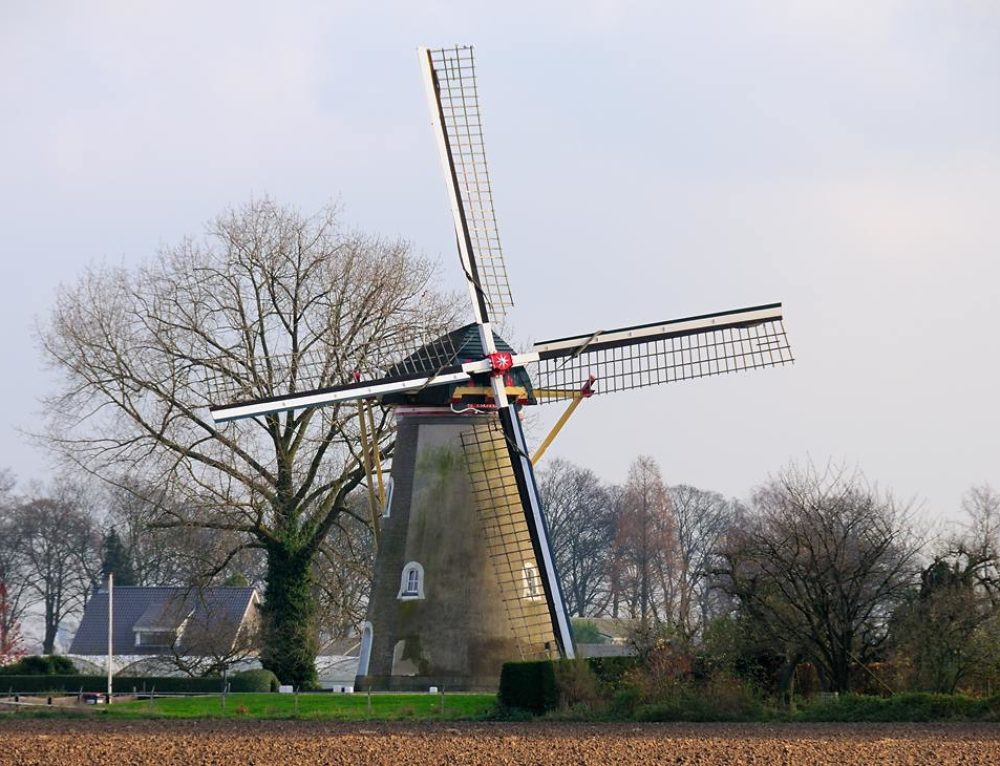 Arkel Molen Jan van Arkel • Regionaal Uitgelicht